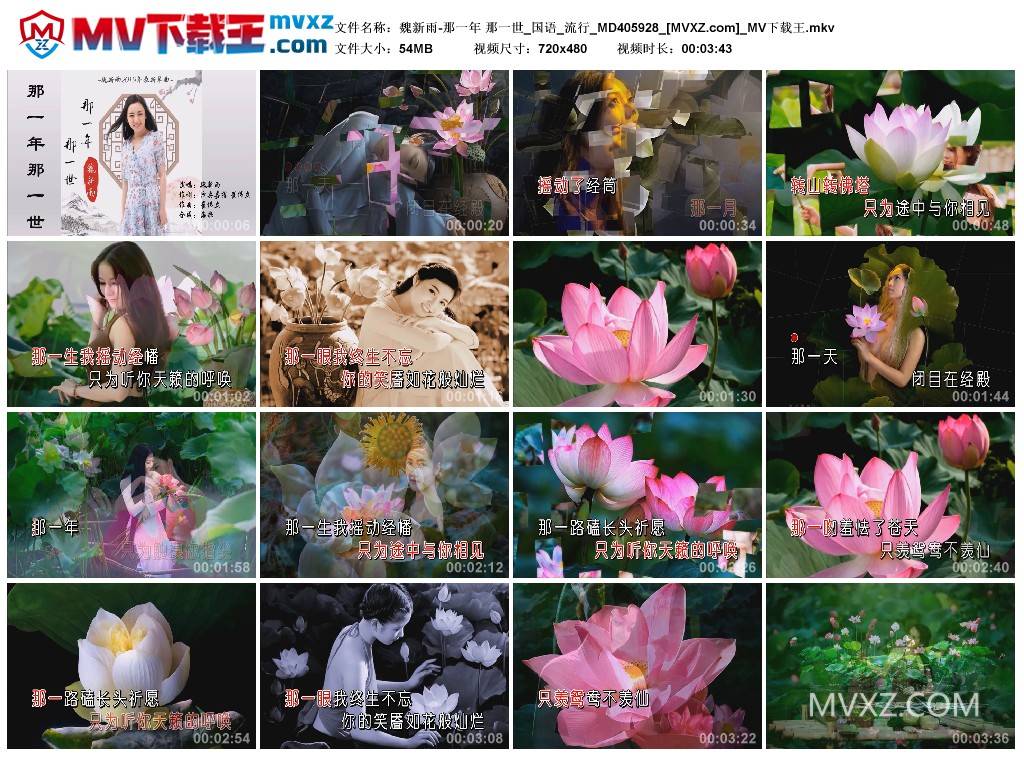 魏新雨-那一年 那一世_国语_流行_MD405928